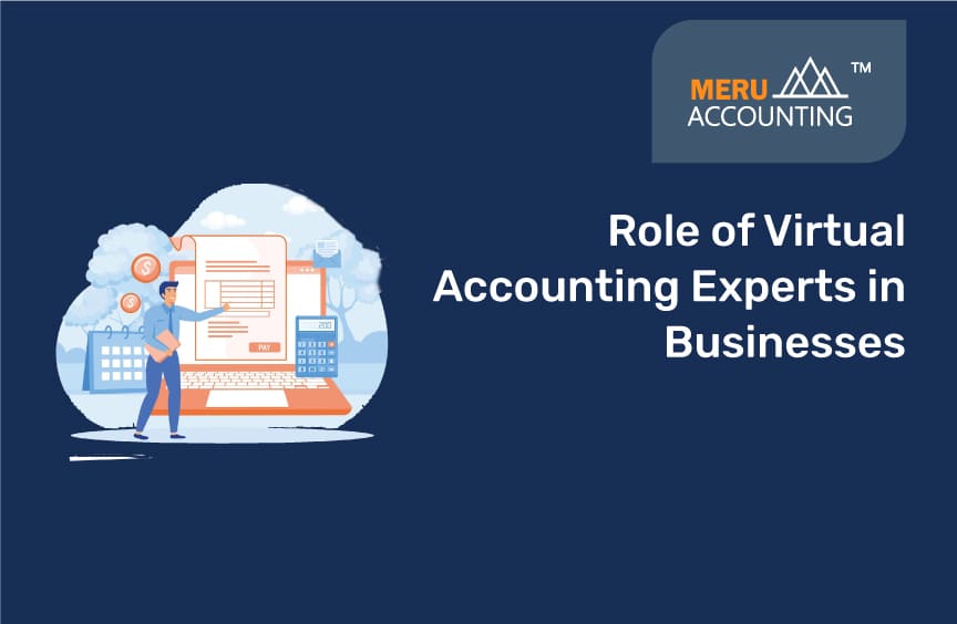 Virtual Accounting Experts